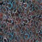 Fabric Hoffman Chestnut Horseshoes Bali Batiks by the Quarter Yard W2598H-51